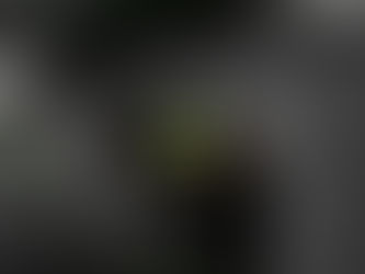 Stop blaming the seed--check the soil for poison!---Social justice development