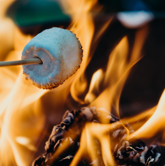 A marshmallow being burned by a campfire.