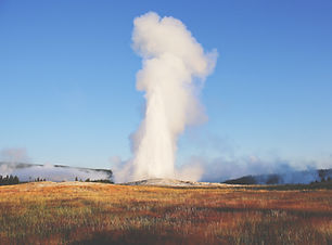 Image by Emily Campbell