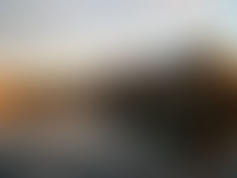 Netherlands Demonstration ALert