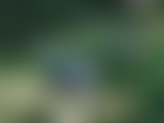 6月レッスンスケジュール