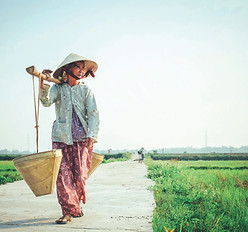 Image by Hưng Nguyễn Việt