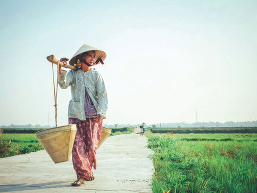 Explore Vietnam's Hidden Gem, Mai Chau