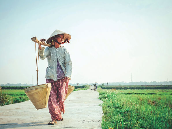 Image by Hưng Nguyễn Việt
