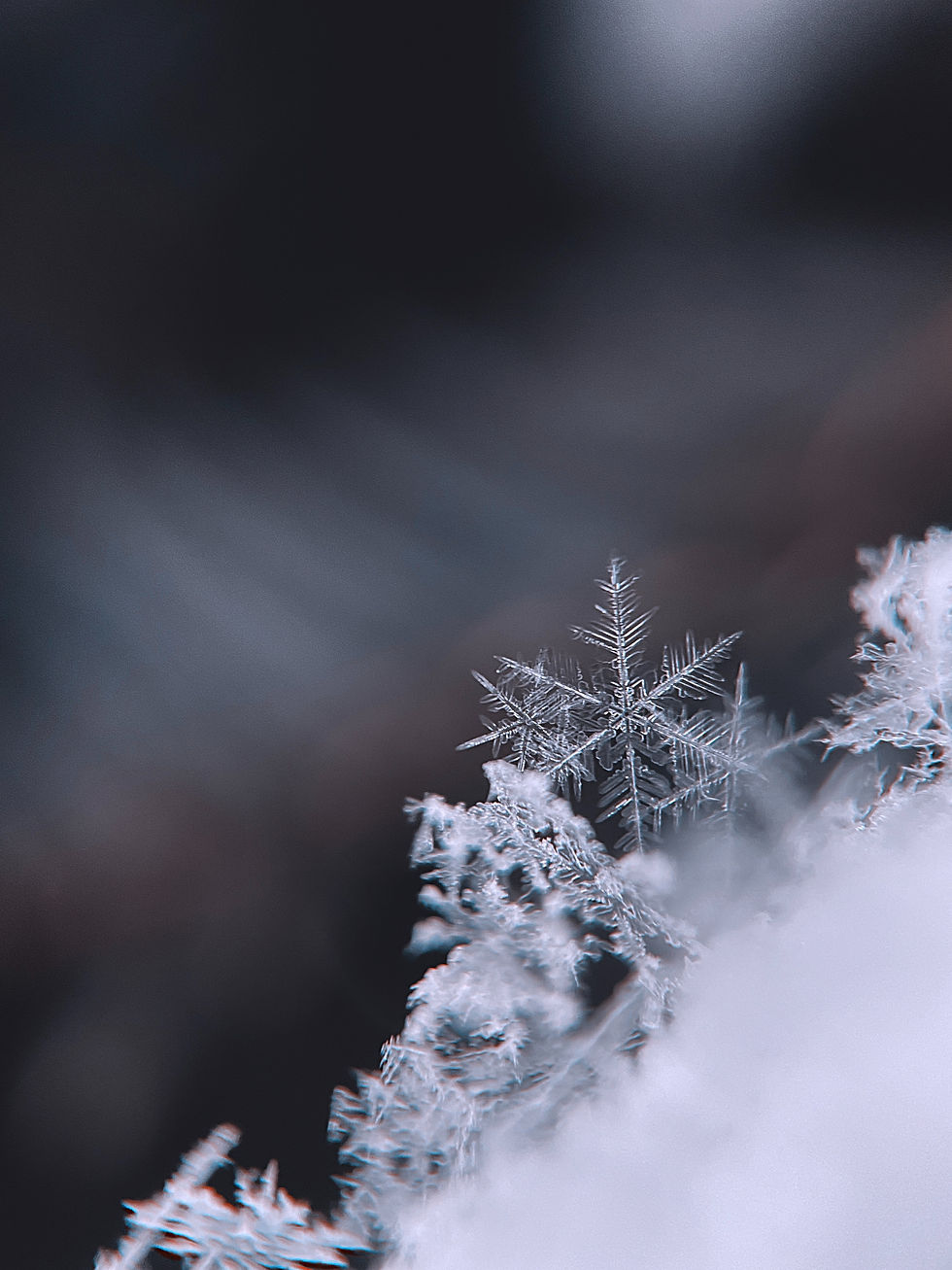 Image by Aaron Burden