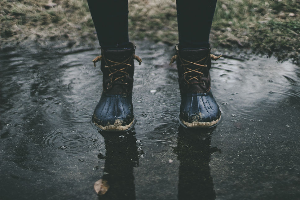 Image by Zach Reiner