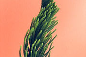 Image by Caleb George