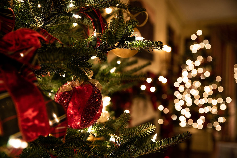 Frohe Weihnachten und ein gesundes neues Jahr 2022