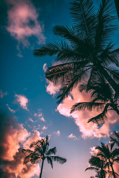 Image by Roberto Nickson
