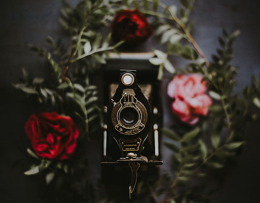 Image by Annie Spratt