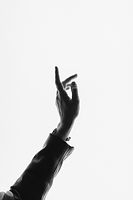 Image by Mark Pan4ratte