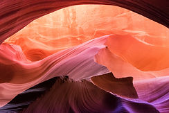 Image by Yunqing Leo