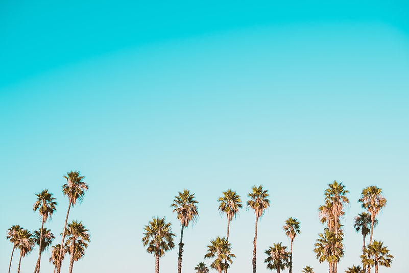 Image by Corey Agopian