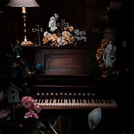 Image by Miguel Dominguez