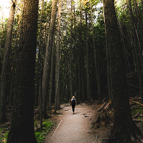 Image by trail