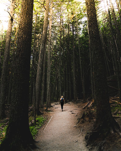 Image by trail