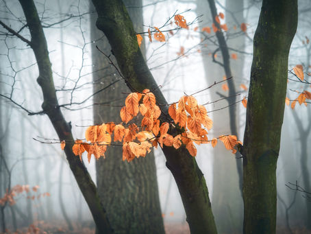 Fall Equinox: 23rd Sept 2022 @3.03 am: Make it possible!