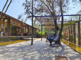 What Makes a Well-Paved Patio?