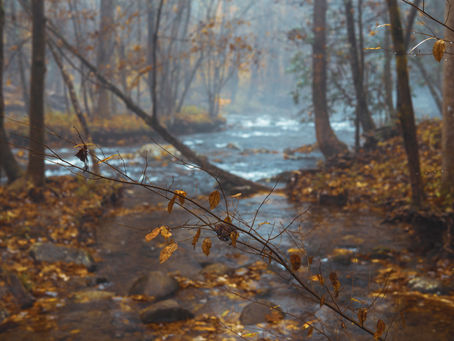 Winter Observations