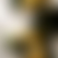 Knoblauch und frische Zitrone gegen Adernverkalkung