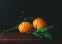 Image by Mollie Wetta
