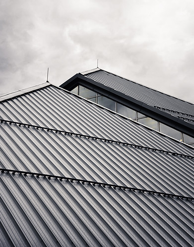 Image by Ryunosuke Kikuno