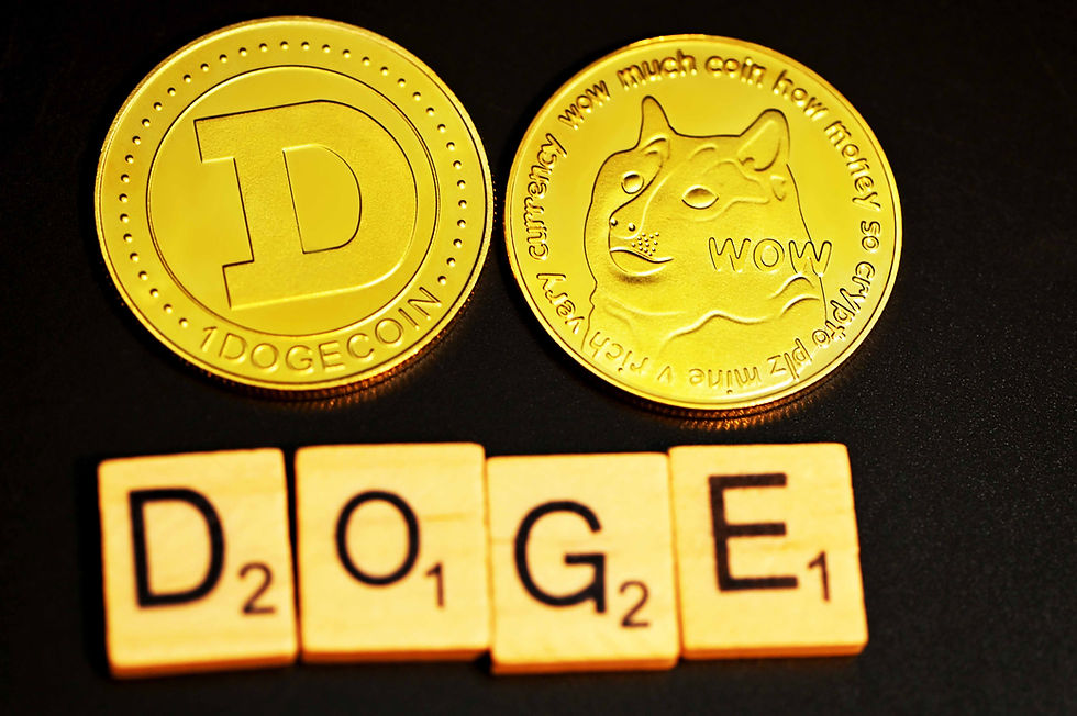 dogecoin and shiba inu coin