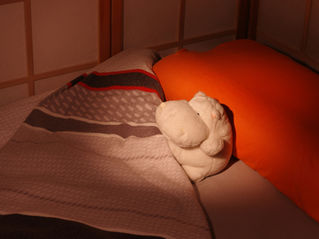 熊本で最大震度5強の地震…1週間は揺れに注意、夜間の地震どう備える