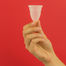 The Diva Cup.