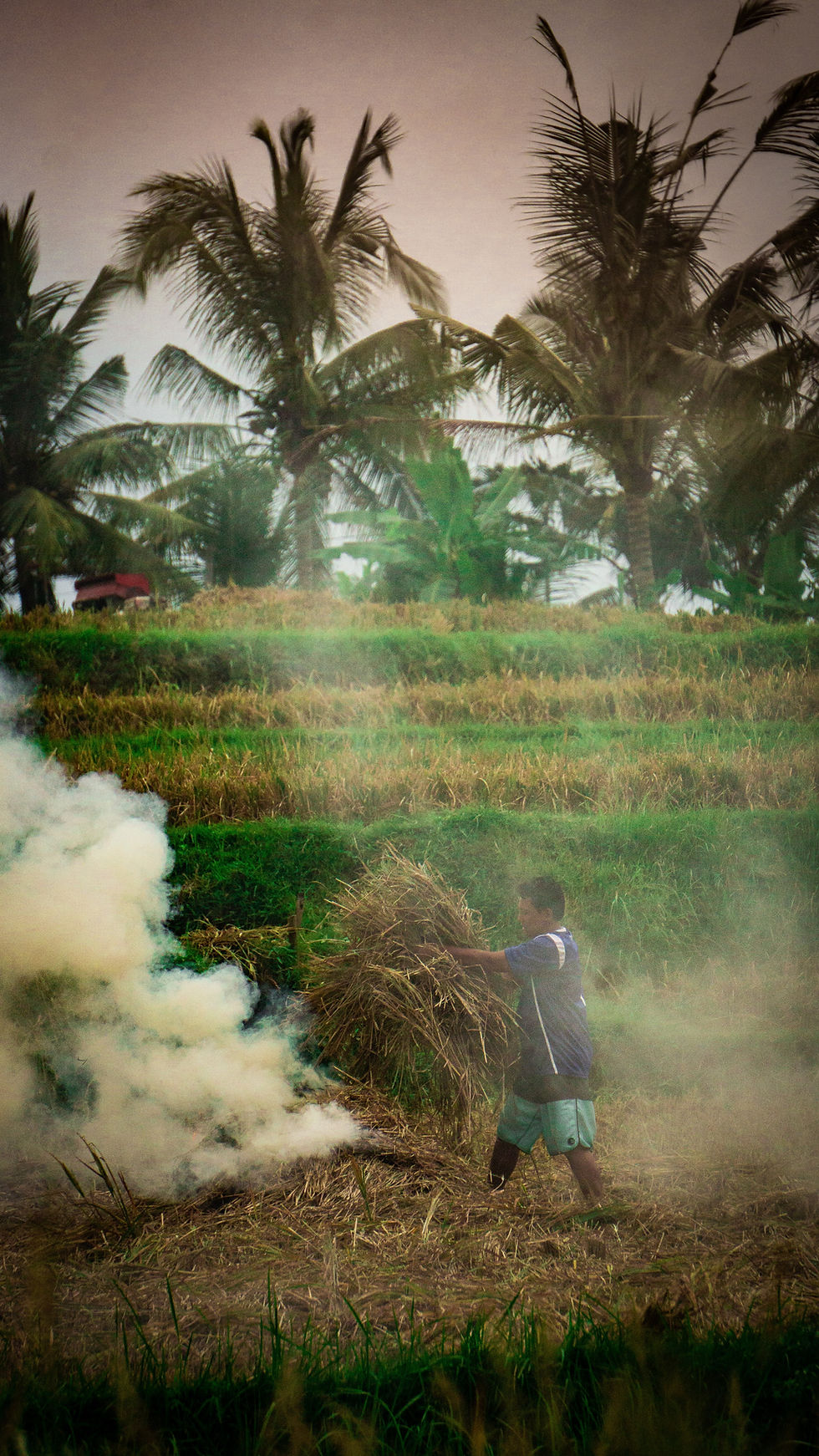 Vietnam
