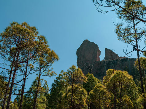 Day trip Casa Gran Canaria - Pico de las Nieves
