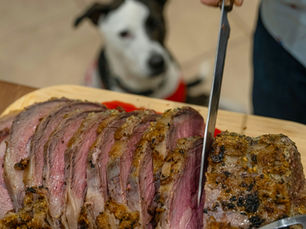 Été et chien : attention aux aliments, plantes et dangers cachés de la belle saison