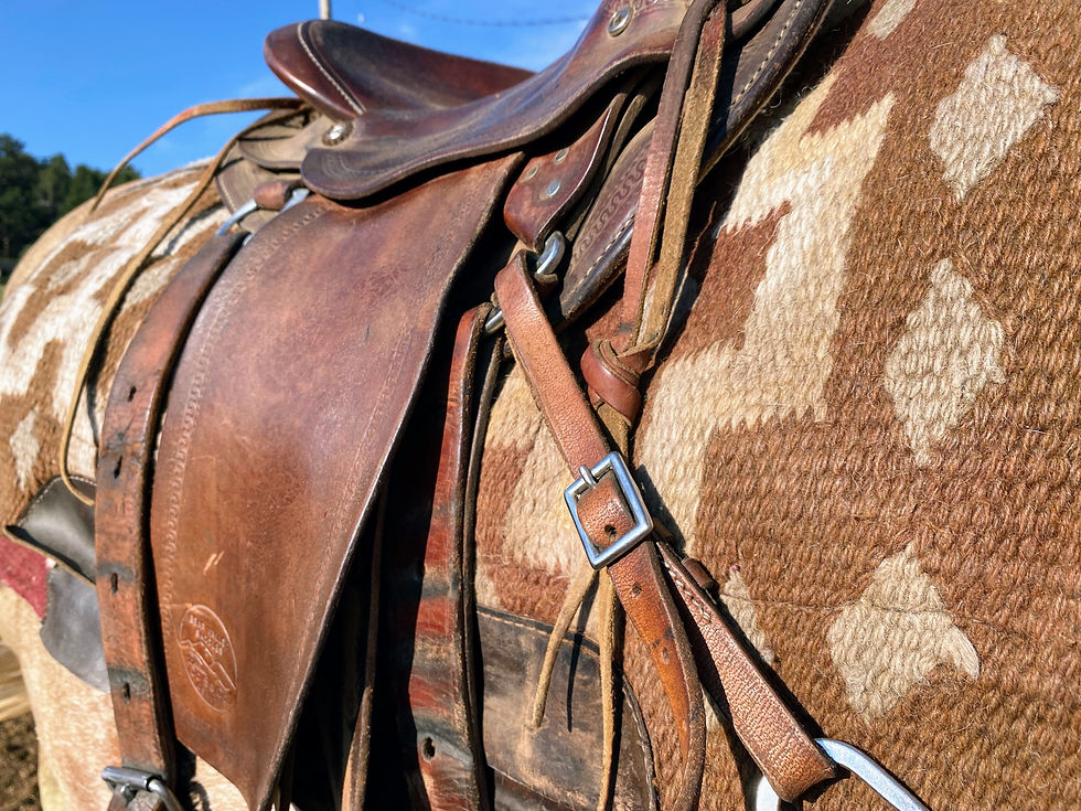 Saddle Fitting Clinic