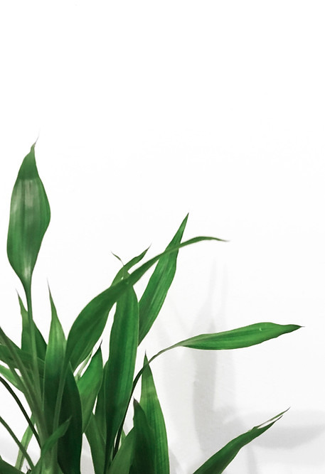 Image by Henry & Co.