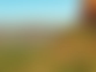 Best Franchise Opportunities in Phoenix, Arizona