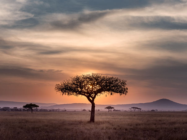 safari tanzanie