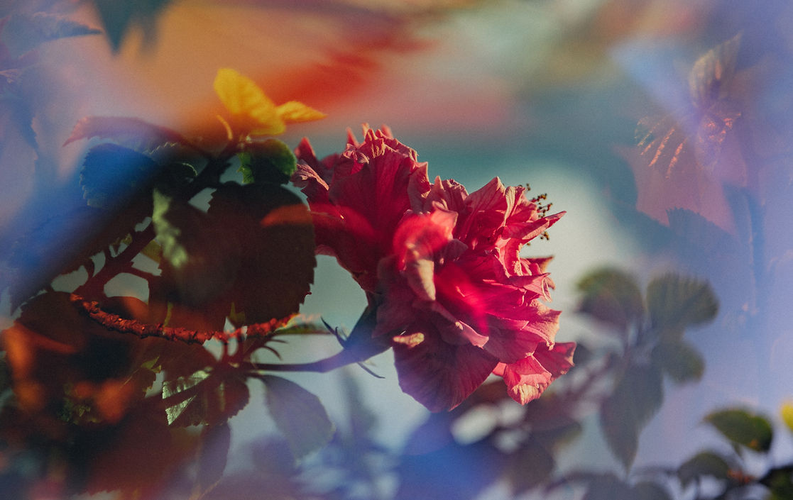 Image by Jakob Owens