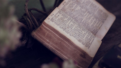 Image by Tamara Menzi