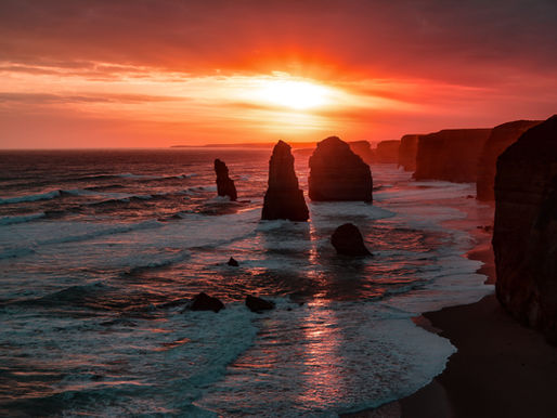 Red Tides and Eutrophication