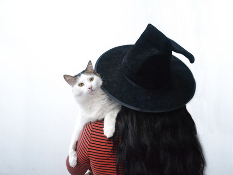 How to have a safe Howl-o-ween with pets
