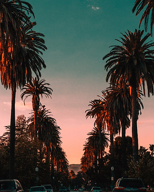 Image by Steven Pahel