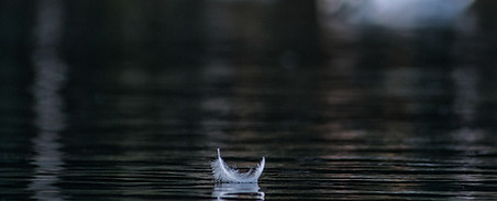 Image by Andraz Lazic