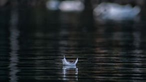 The Importance of Silence: Nourishment for the Soul, Mind, and Body