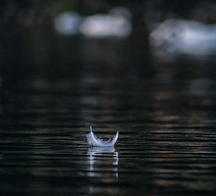 Image by Andraz Lazic