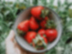 FRESH FRUIT