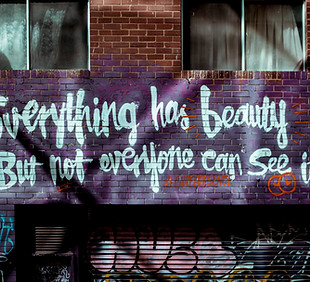 Image by Annie Spratt