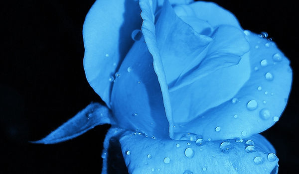 Image by Abhijeet Majhi