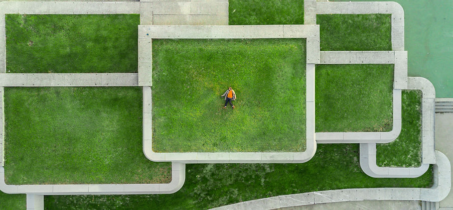 Image by Martin Reisch