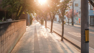 Barden v. City of Sacramento (2002)