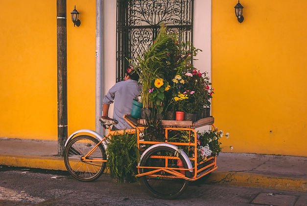 Image by Jorge Zapata